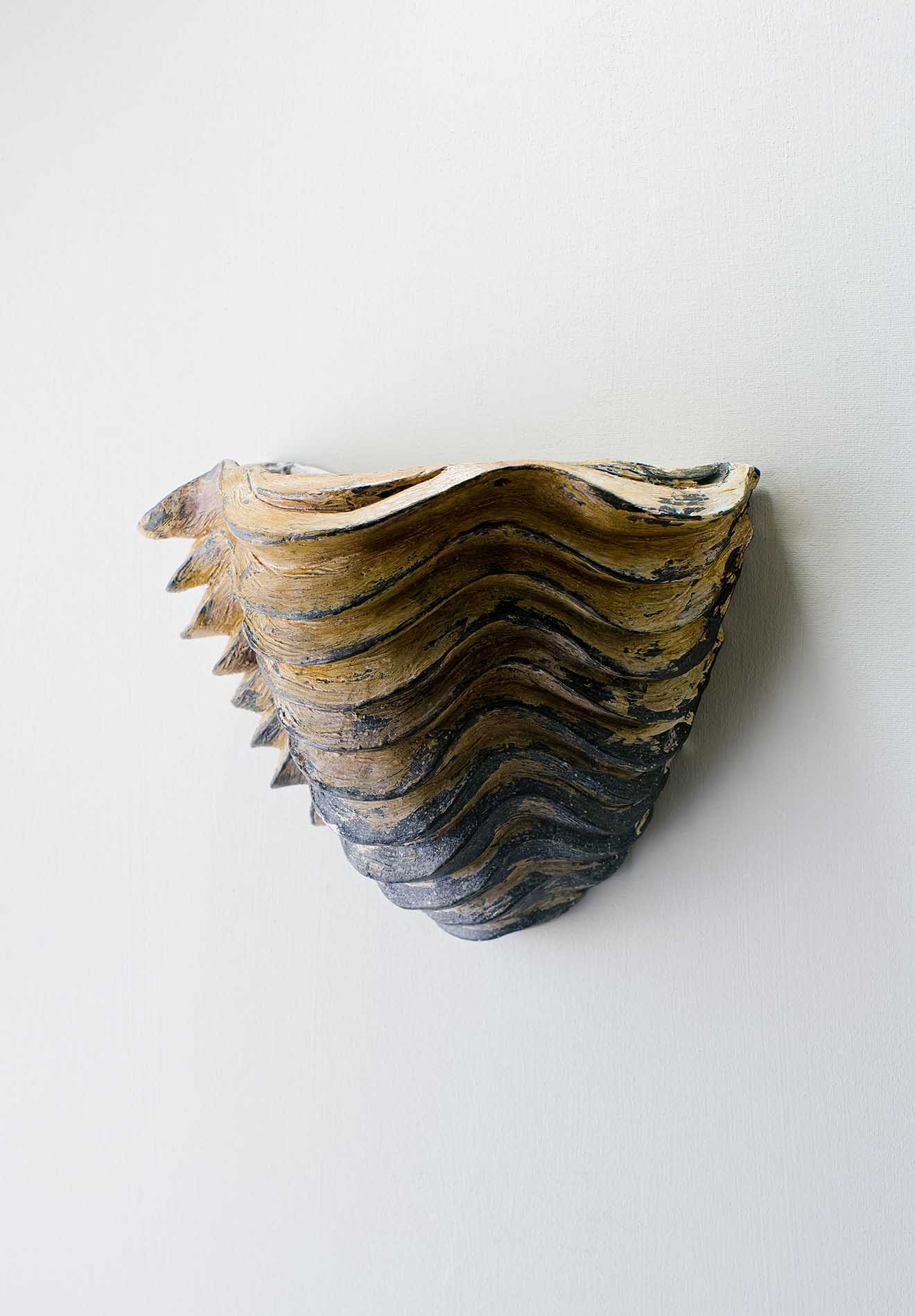 Clam Shell Wall Light Small - Image 10