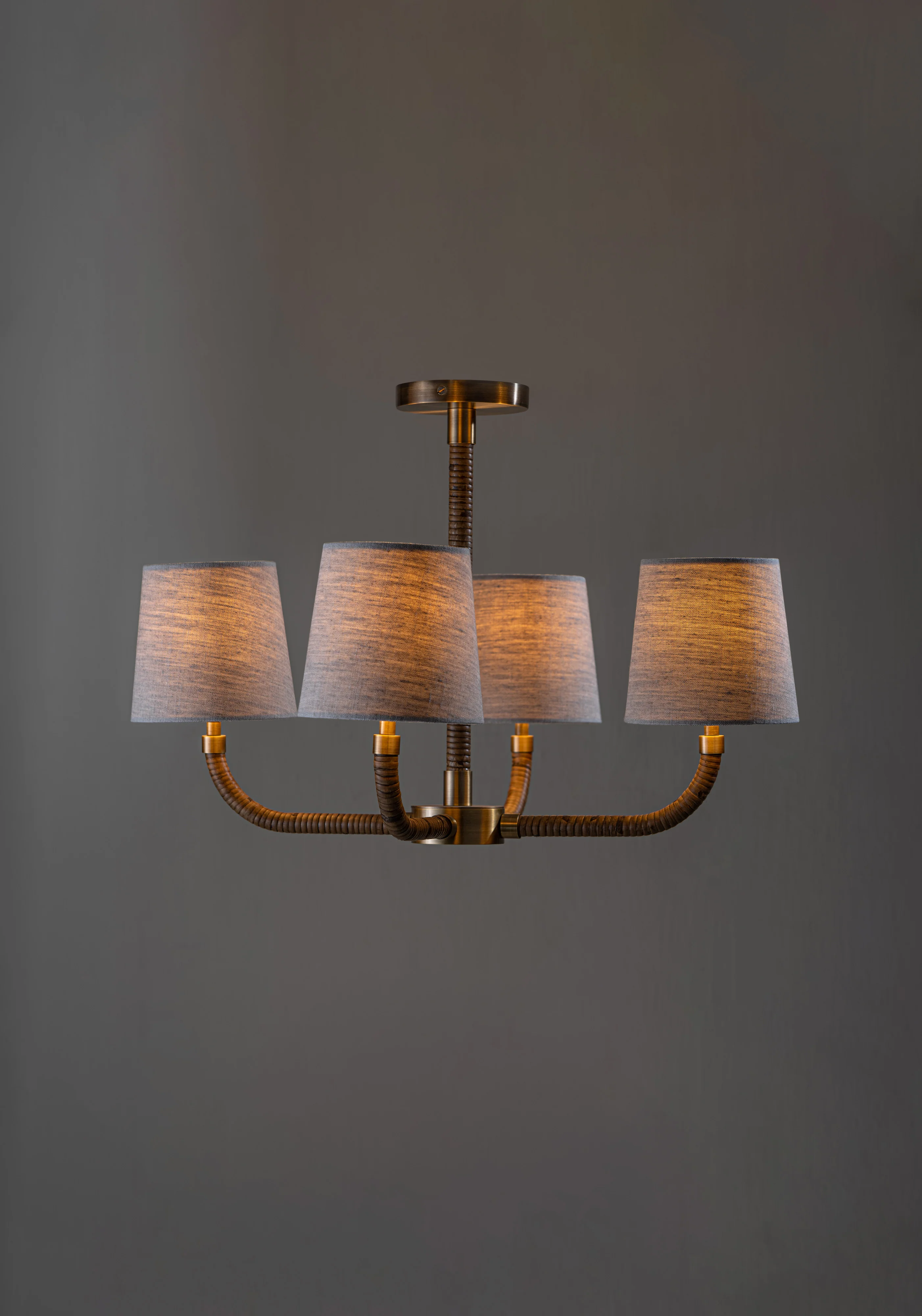Holden Ceiling Light - Image 5