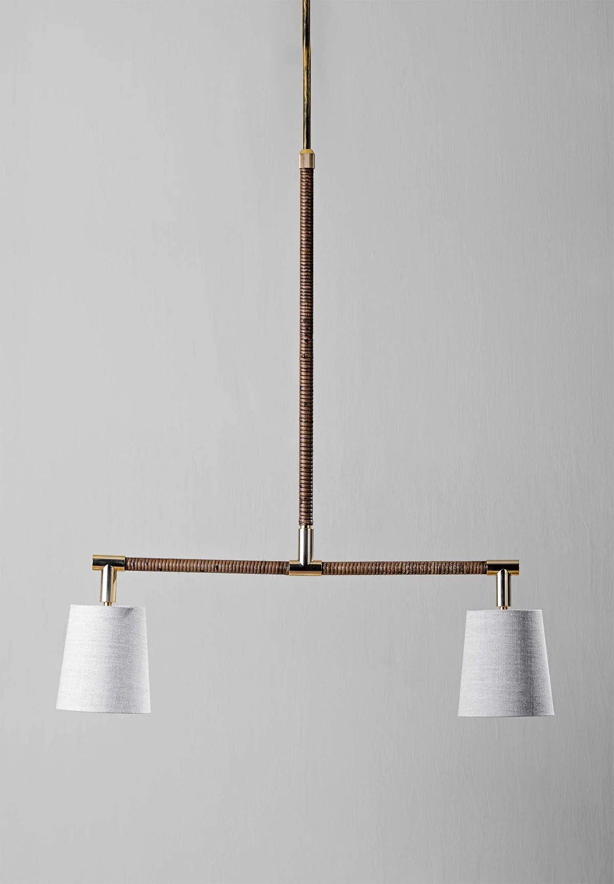 Holden Linear Pendant Downlight