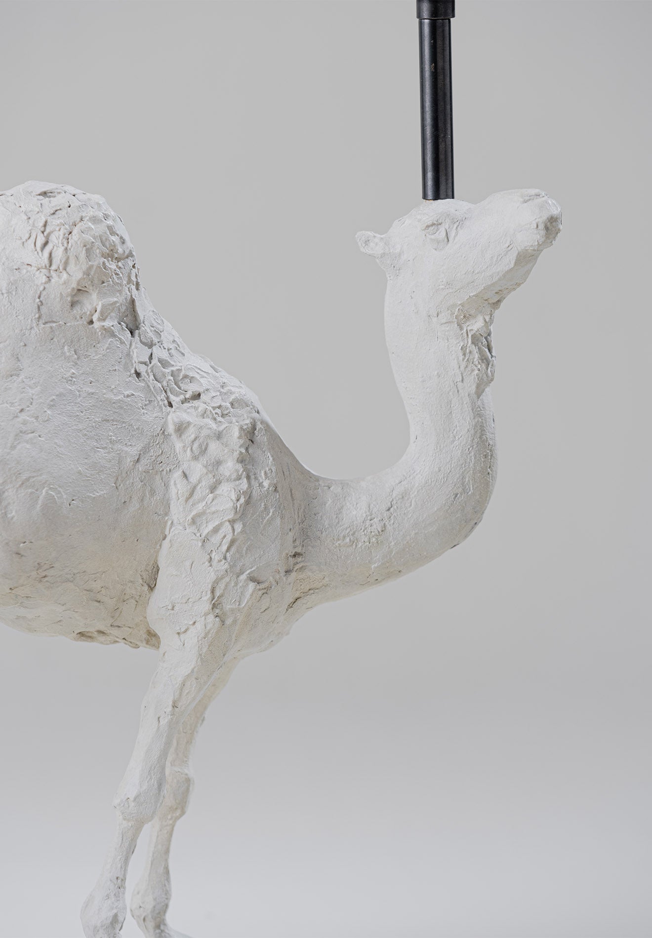Percy Lamp - Image 4