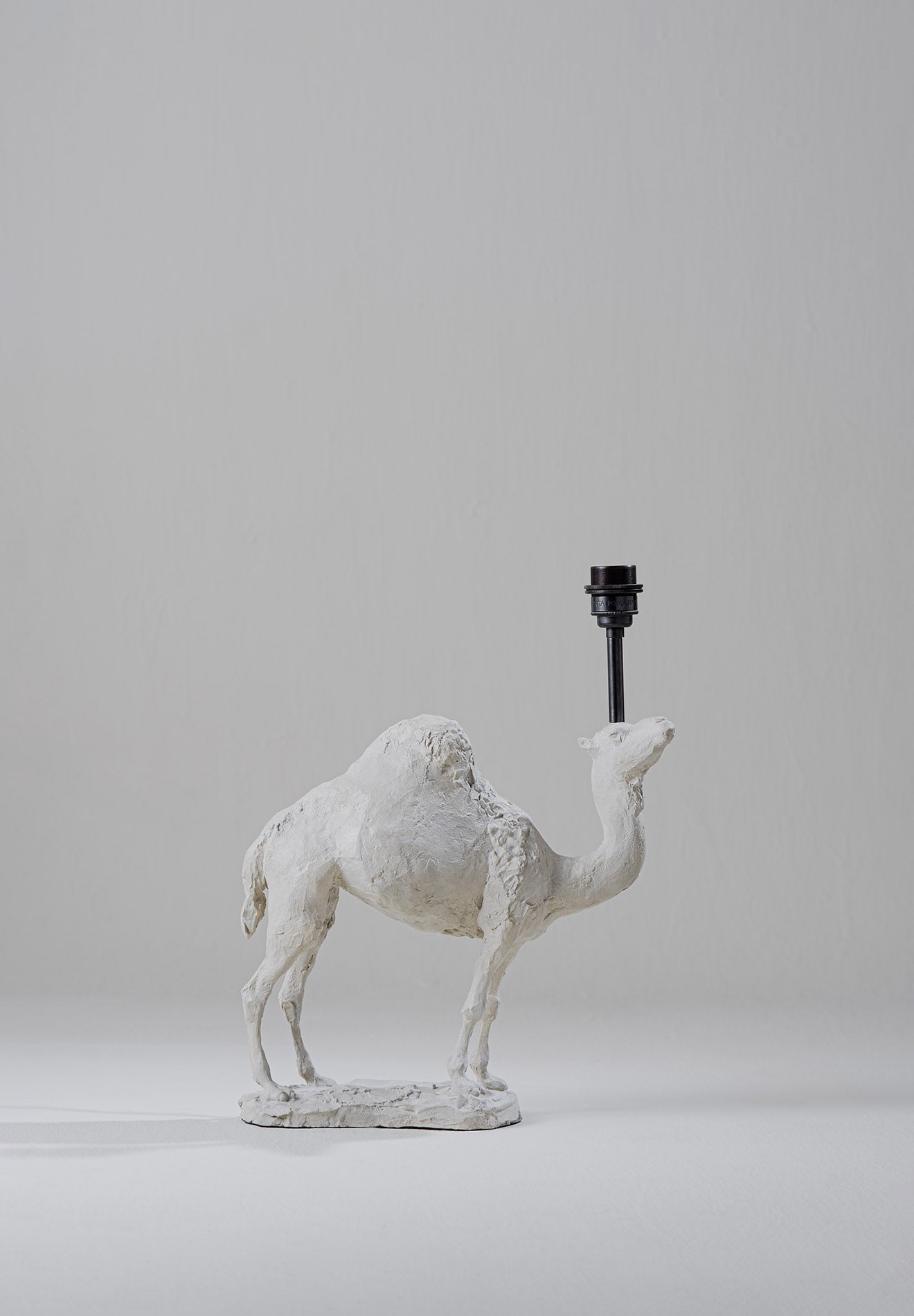 Percy Lamp - Image 6