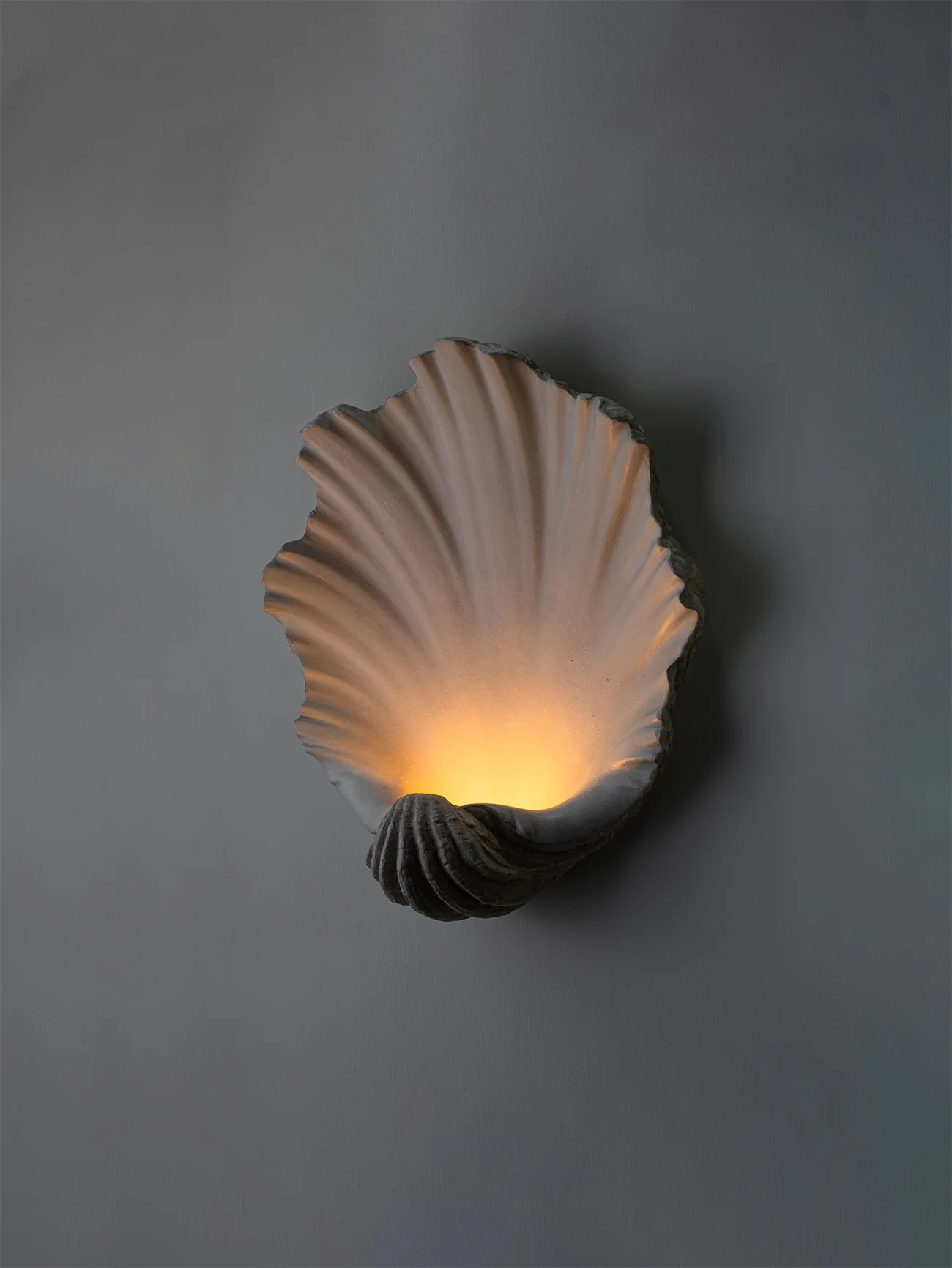 Scallop Shell Wall Light - Image 6
