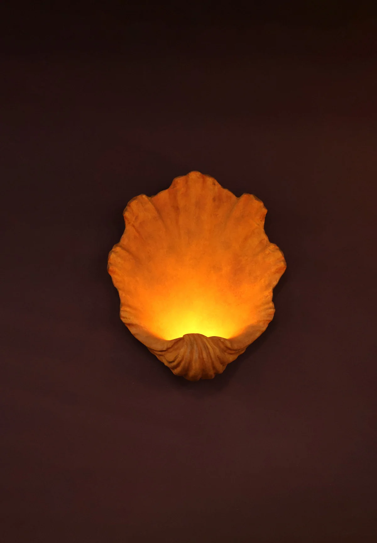 Scallop Wall Light Small - Image 12