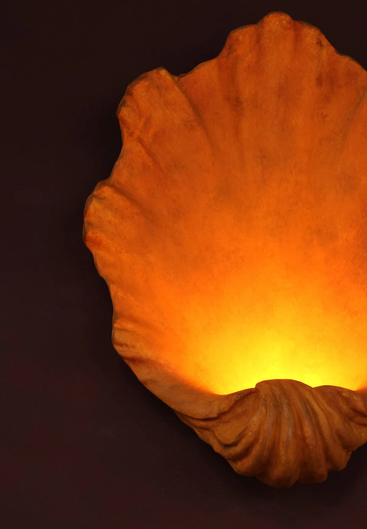 Scallop Wall Light Small - Image 13