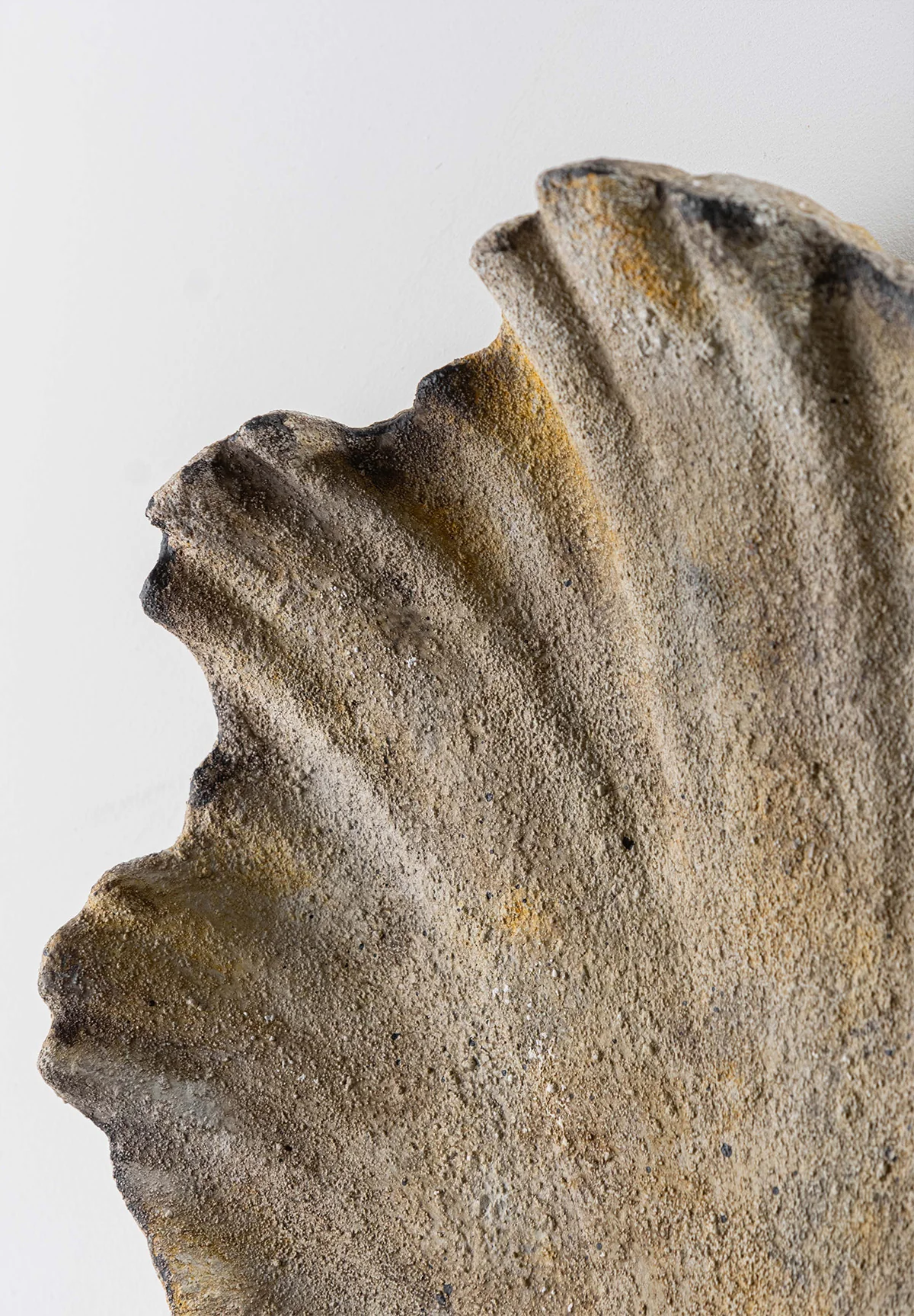 Scallop Wall Light Small - Image 3