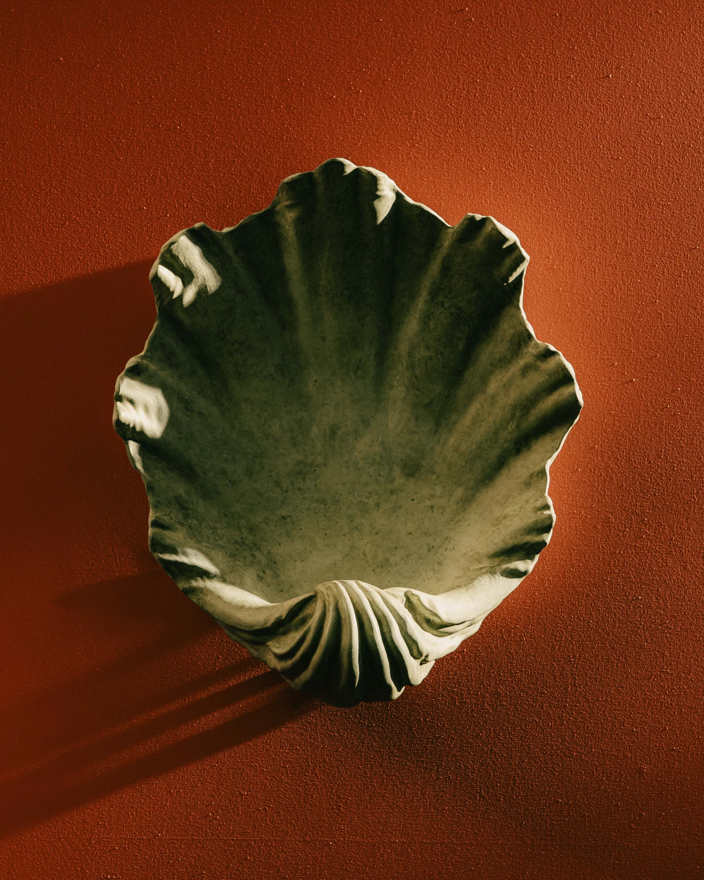 Scallop Wall Light Small - Image 8