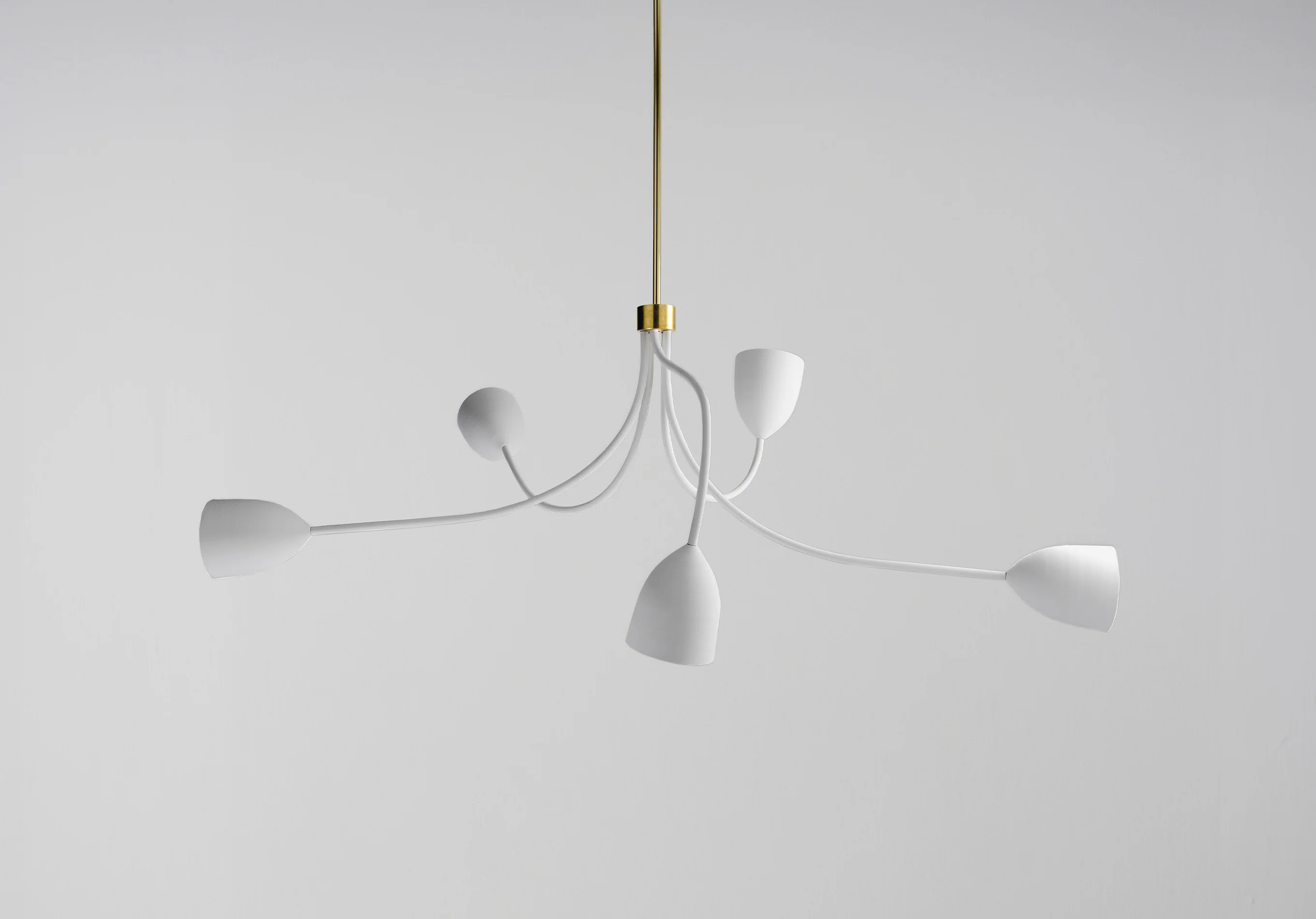 Tulip Ceiling Light