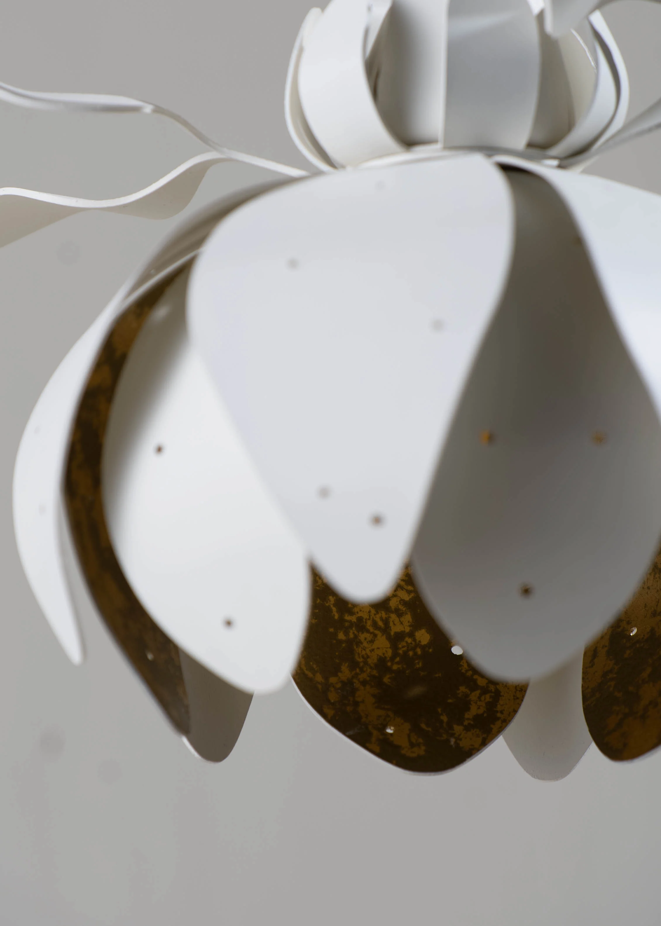 Botanica Wall Light - Image 14